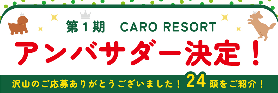 カーロ・リゾートペトップページ