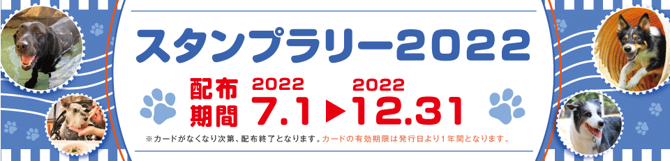 カーロ・リゾートペトップページ